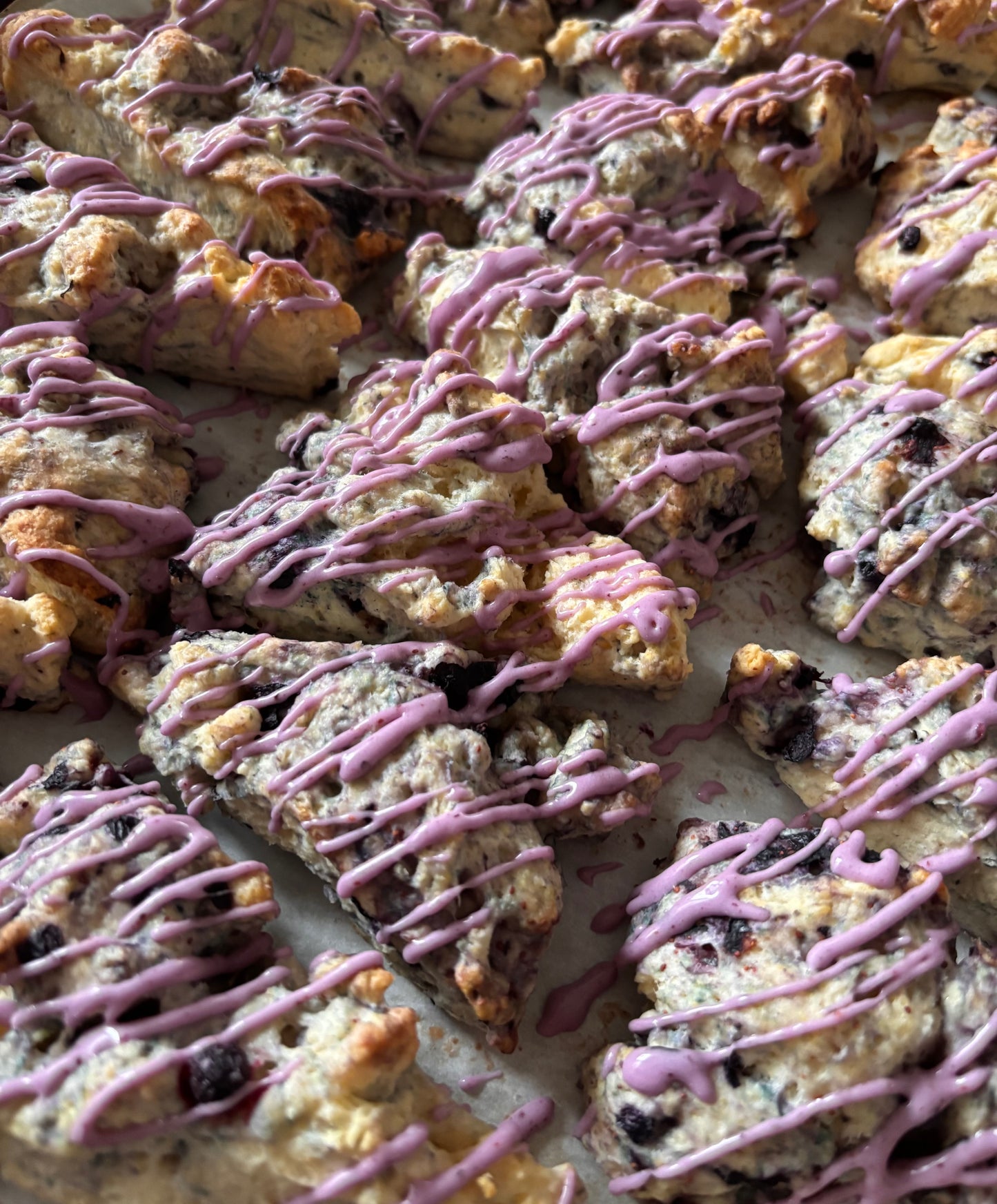 Blueberry Scones