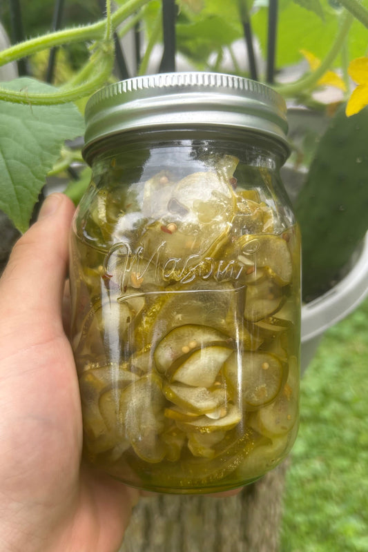 Homemade Sweet Pickles (500mL Jars)