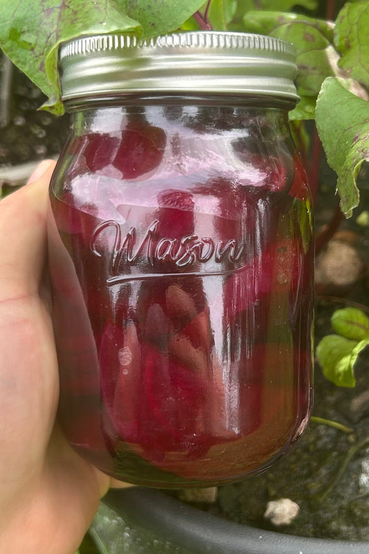 Homemade Pickled Beets