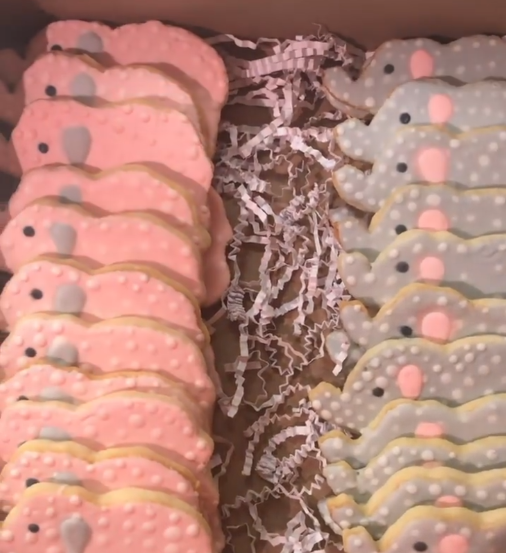 Elephant Sugar Cookies
